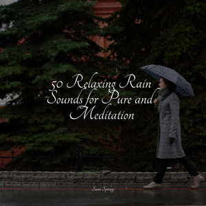 Soothing Ocean Sounds