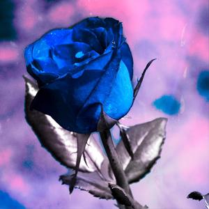 So Much More Left Over