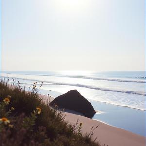 シトロン・デイドリームB