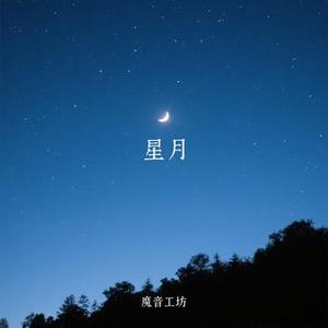 星月 (Cover 邵雨薇)