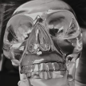 Lines (live version)