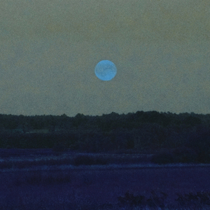 Bez czterech rąk (Runforrest Rework)