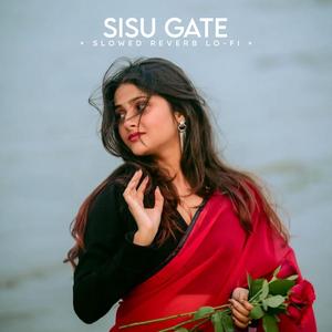 Sisu Gate (Slowed Reverb Lo-fi)