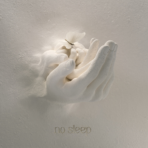 No Sleep (feat. Sam Tompkins)