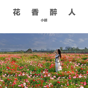 花香醉人