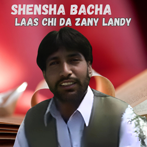 Laas Chi Da Zany Landy