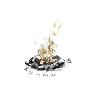 Te Seguiré