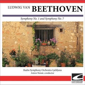 Beethoven Symphony No. 1 in C major Op. 21 - Adagio molto, allegro con brio