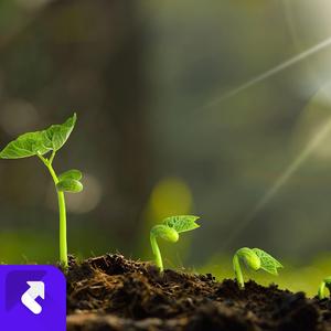 黯淡的黑夜 (Demo)