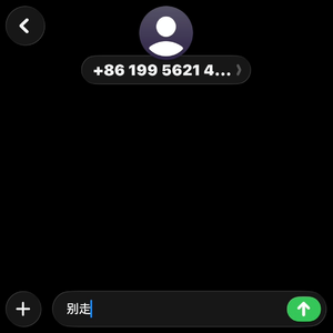 别走（Don’t Go）