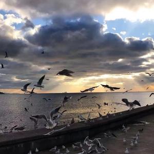 背后的地球-徐佳莹