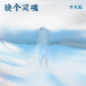 缺个灵魂
