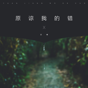 原谅我的错 (DJ何鹏版)