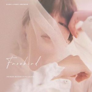 Freebird（橙光游戏《小鸟游花》朴智旻角色歌）
