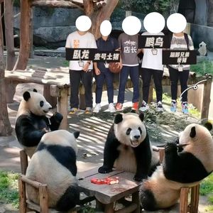 导  游