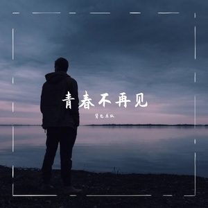 不再见 伴奏