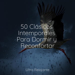 Sesiones Yoga en Colchoneta