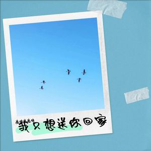 我只想送你回家