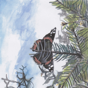 Brüder kriegen Kinder