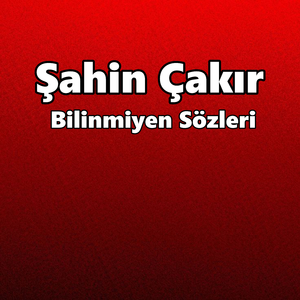 Bilinmiyen Sözleri