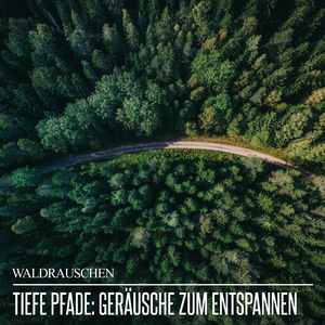 Verzauberte Vogelstimmen