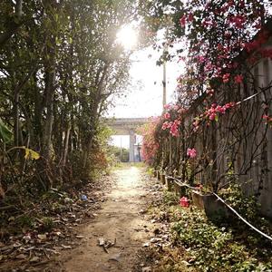 邓垚-诀别书.wav（Spring remix）