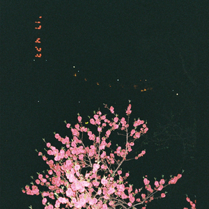 바다는 잘 있습니다