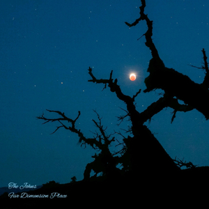 Five Dimension Place