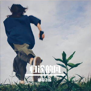 归途的风