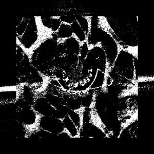 microtone. (letugo) [VIP]