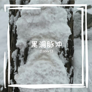 黑洞脉冲