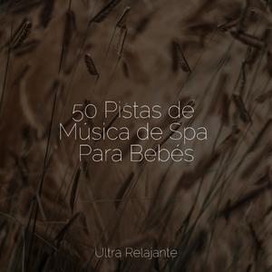 Arenas Más Cálidas