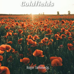 Goldfields