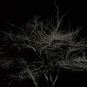 浮浪人记Prod By LilSiren