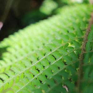 中考高考助力学习