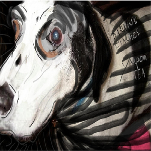 Yaupon Tea (Blackdrink)