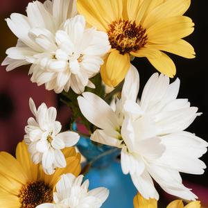 独处频率（没遇到同频的人 真的没关系）