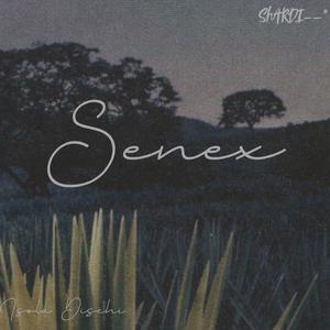 SENEX