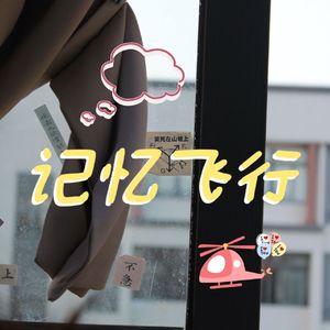 记忆飞行