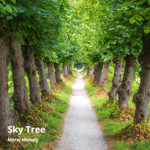Sky Melody