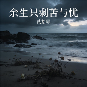 余生只剩苦与忧