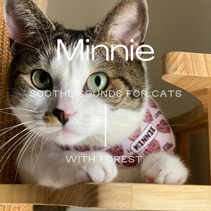 Minnie