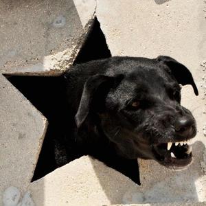 DJAI (feat. Sato d'Akono)