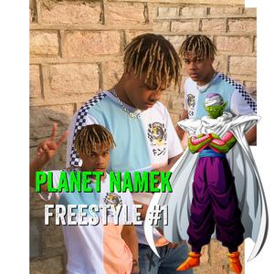 Planet Namek Freestyle. 1
