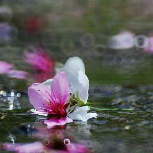 心痛的回忆心痛的你