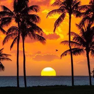 【Free】背媳妇 - 西游记 大唐cypher typebeat