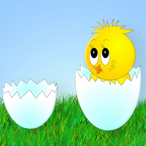 Сәнім-қуырмаш