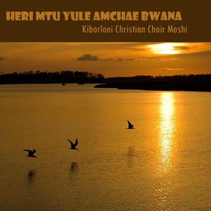 Sisi Twafurahia Arusi Hii