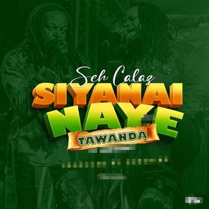 Siyanai Naye Tawanda