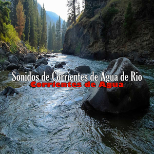 Sonidos de Corrientes de Agua de Rio 5